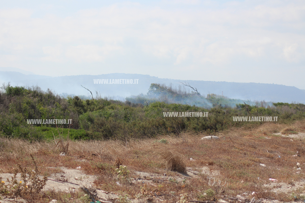 incendio-Ginepri-3-agosto6.jpg