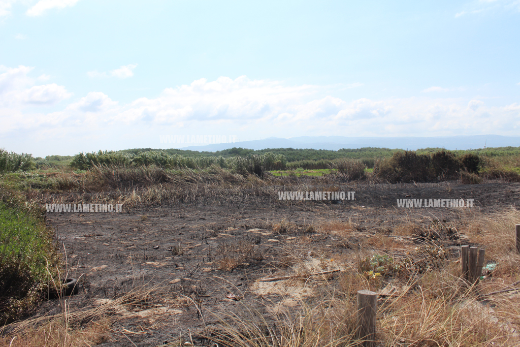 incendio-Ginepri-3-agosto7.jpg