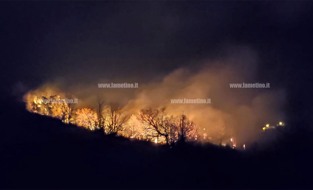 Lamezia, incendio in contrada Bucolia: intervento dei Vigili del Fuoco