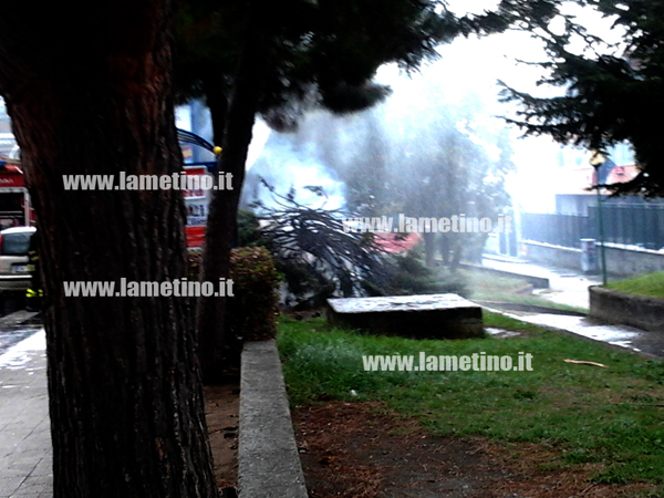 incendio-alberi-via-aldo-moro-2