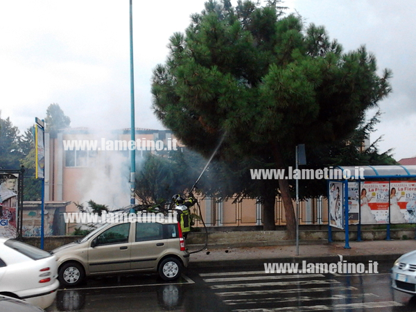 incendio-alberi-via-aldo-moro-3