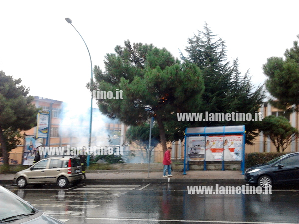 Lamezia: Incendiati alberi su viale don Luigi Costanzo