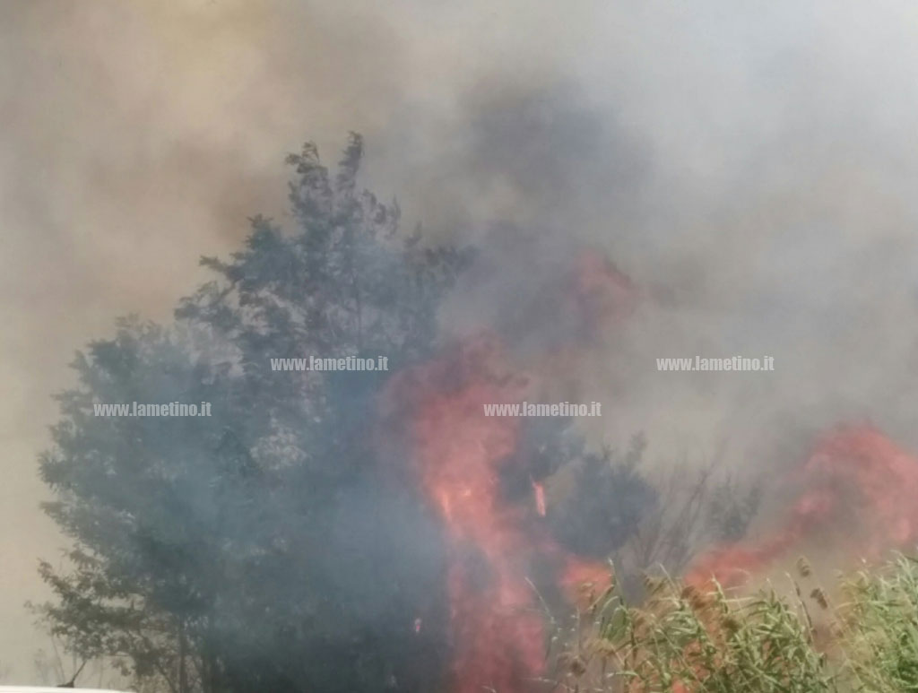incendio-arinella_11.jpg