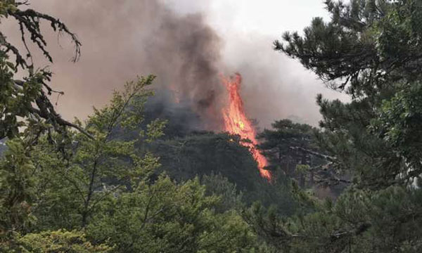 incendio-aspromonte_8c6d1.jpg