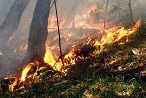 Incendi, Oliverio: "Siamo di fronte ad un attacco criminale"