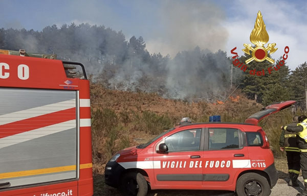 incendio-catanzarese-5-3-2021-1.jpg
