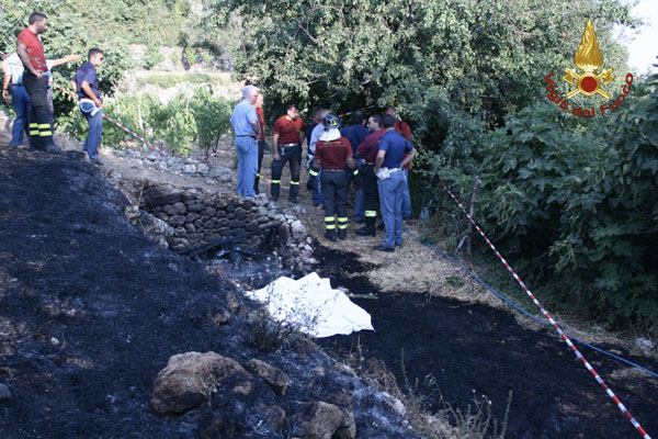 Calabria: Pensionato muore in incendio di sterpaglie
