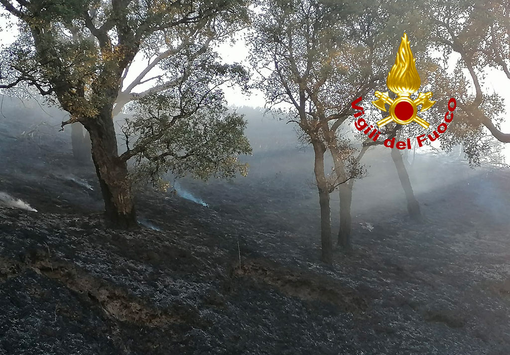 In fiamme arbusti, macchia mediterranea e querceto a Catanzaro, disagi per abitanti della zona
