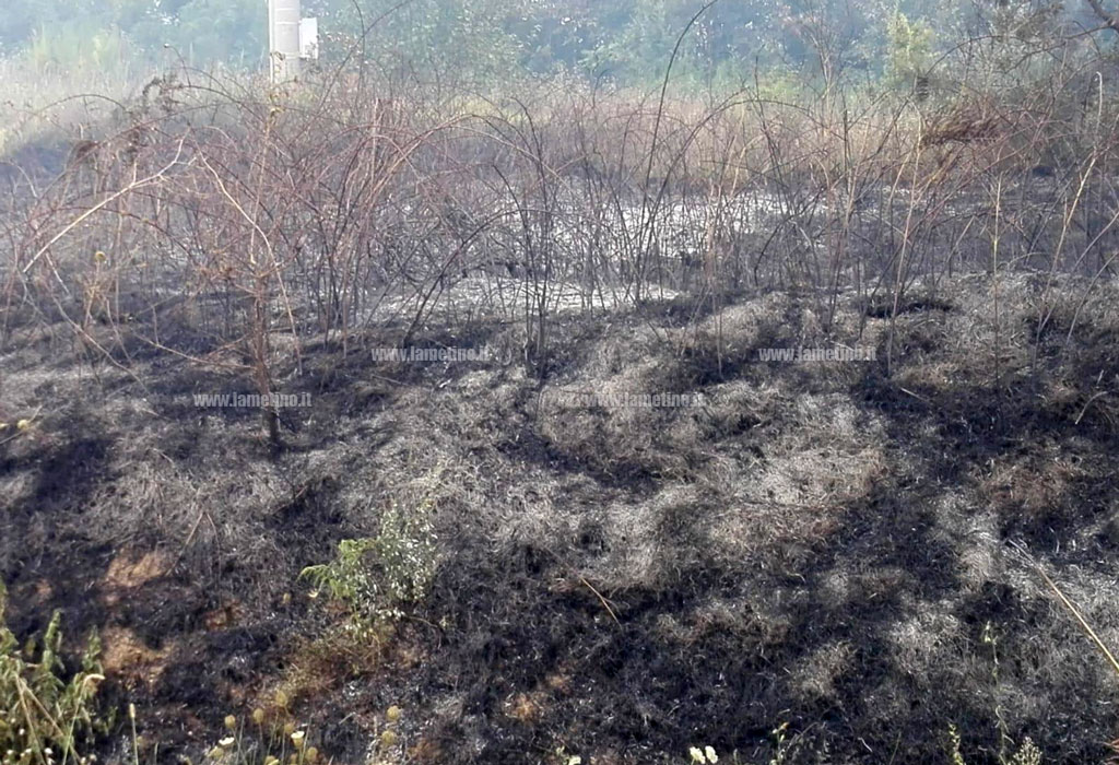 incendio-conflenti-13092018-1.jpg