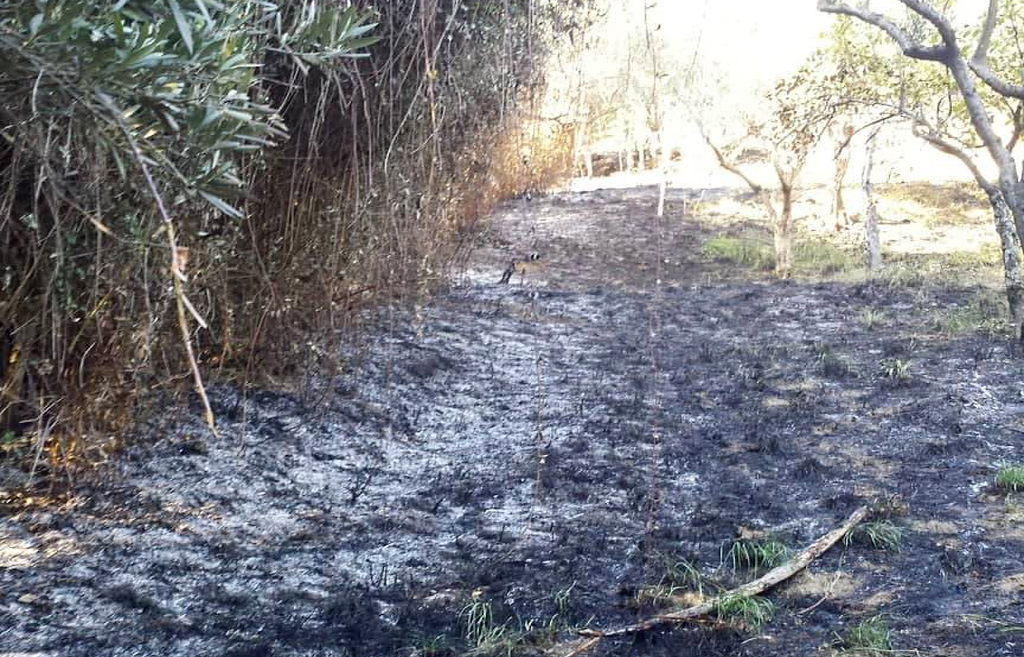 incendio-conflenti-27092018.jpg