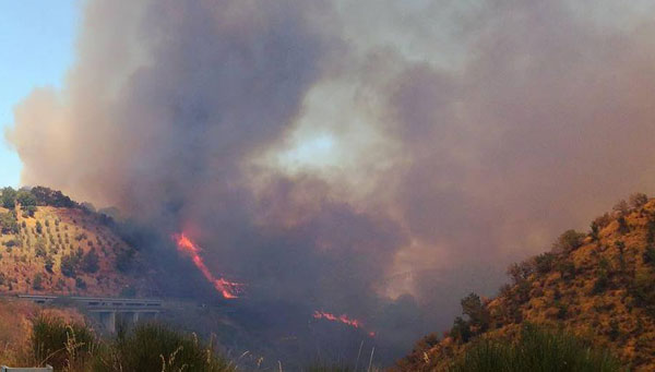 Emergenza siccità e incendi: Regione Calabria chiede stato calamità