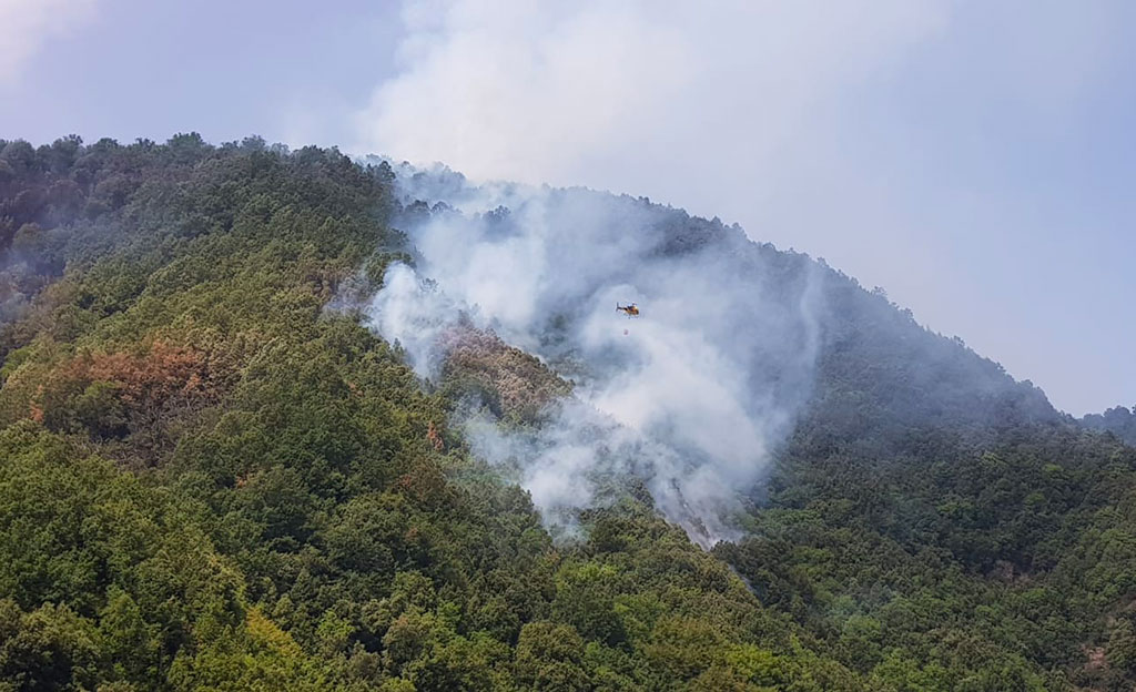 Incendi, fiamme in sentiero Riserva Valli Cupe nel catanzarese: avviate indagini