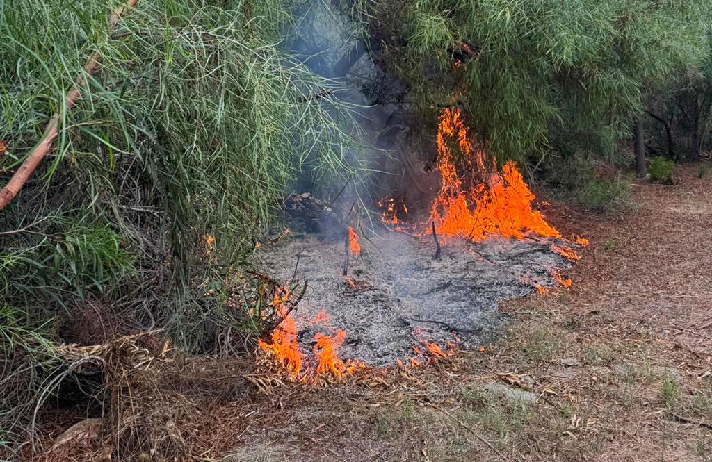 incendio-falerna-marina_dee2f.jpg