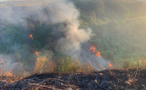 In Calabria continua lotta agli incendi, la Regione fa il punto