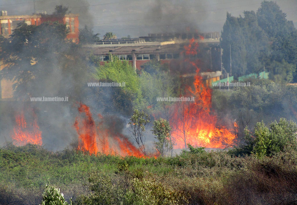 incendio-lamezia-111465e95af319_aec42.jpg