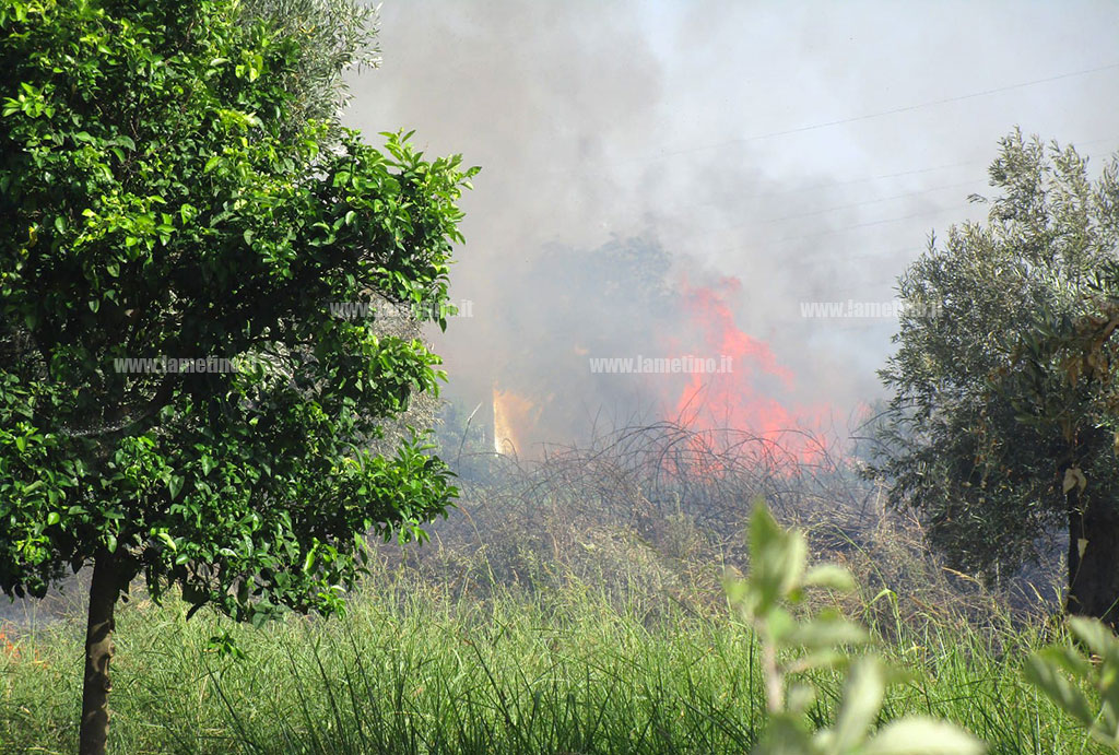 incendio-lamezia72f3e949fc8_14673.jpg