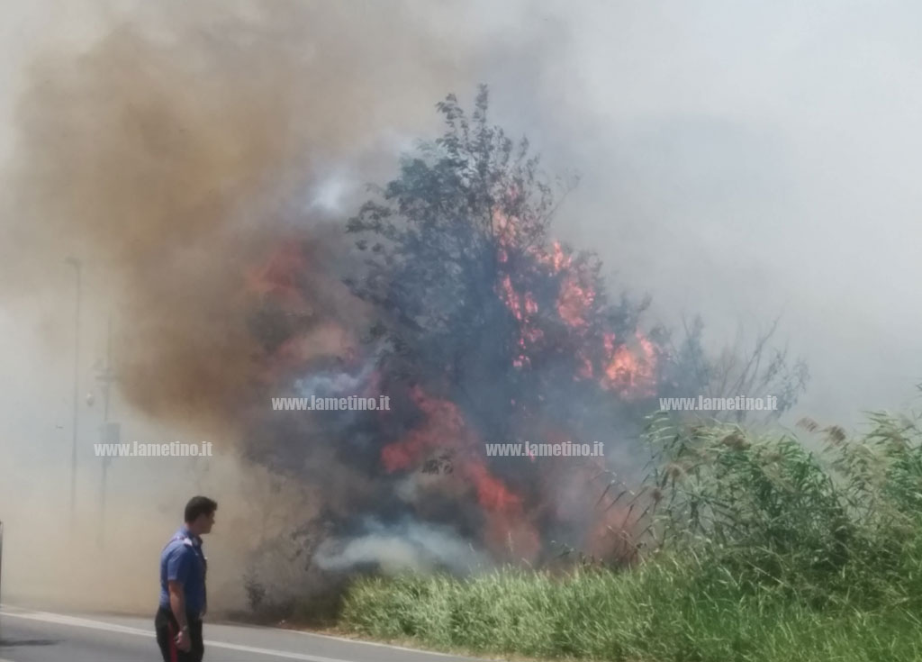 Fai Cisl: "Emergenza incendi in Calabria, andava attivato prima il servizio Aib"