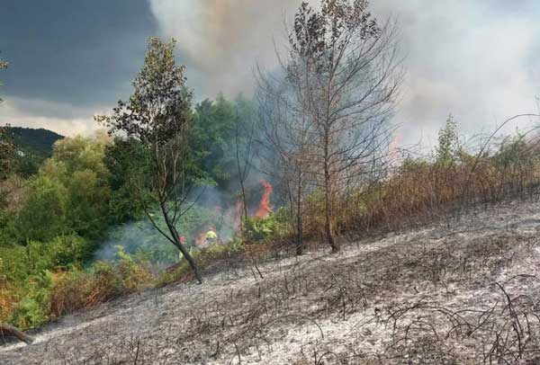 Incendio a Motta Santa Lucia minaccia abitazioni vicine, interviene Nucleo Emergenze Reventino Savuto