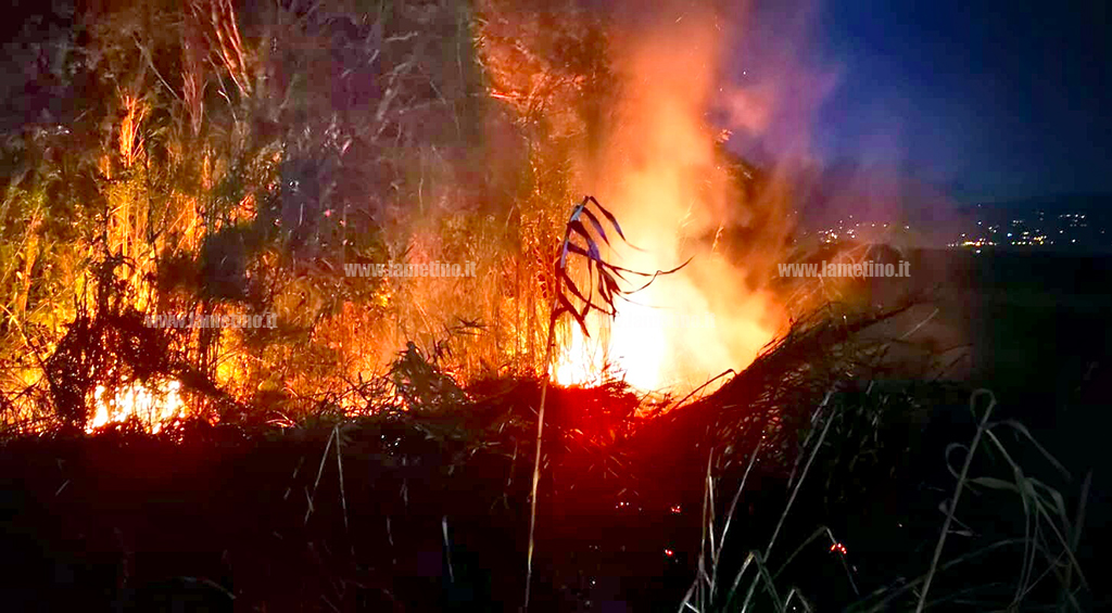 In fiamme bosco e macchia mediterranea nel borgo di Panetti a Platania, intervenuti vigili del fuoco