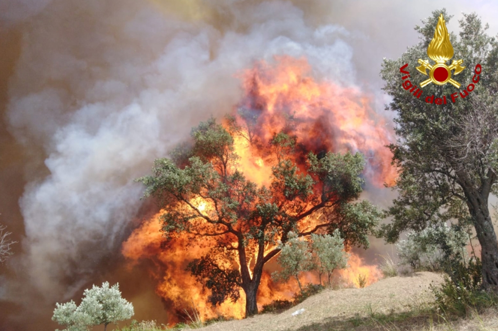 incendio-parco-b-m-4819.jpg