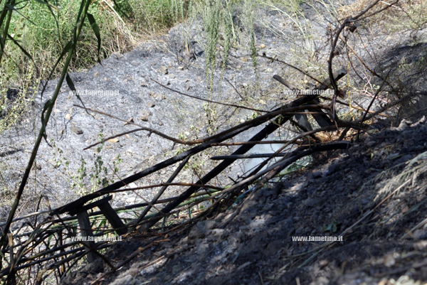 incendio-parco-mastroianni-25-agosto-2014-bis.jpg