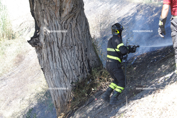 incendio-parco-mastroianni-25-agosto-2014.jpg
