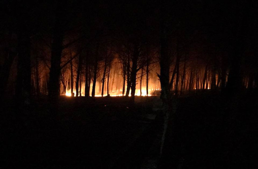 A fuoco pineta su spiaggia Gizzeria, incendio spento nella notte