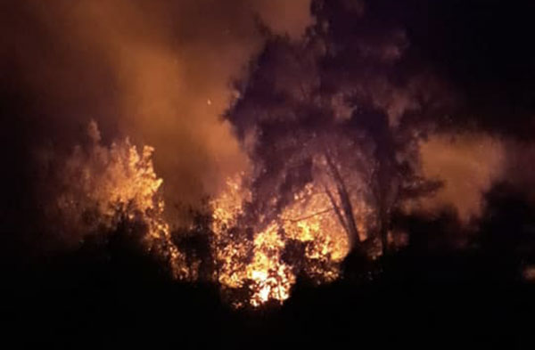 incendio-reventino-10-8-2021_54e6e.jpg