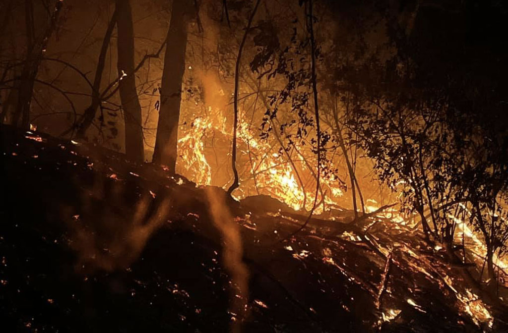 Incendi nel lametino, Nuovo Cdu: "Procedere con risarcimento danni a proprietari terrieri e allevatori"