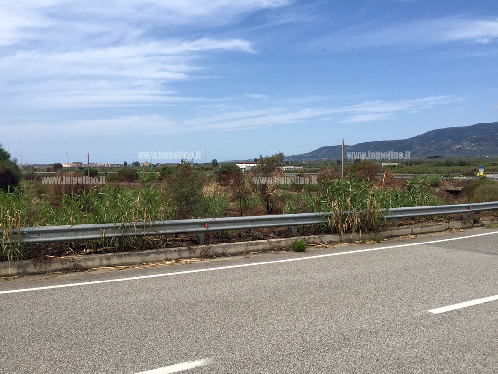 Lamezia, U.Di.Con: "Assenza di visibilità e incuria alla rotatoria di contrada Rotoli, intervenire al più presto per sicurezza cittadini"
