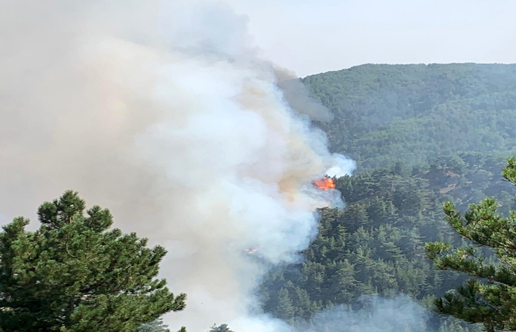  Incendi San Luca, Spirlì: "Attivi mezzi aerei e di terra" 