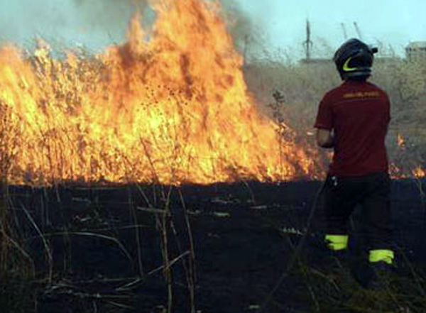 Coldiretti: 1.860 incendi in Calabria nel primo semestre 2016