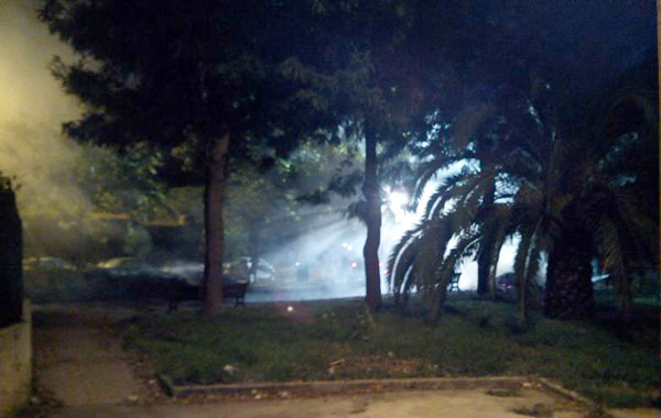 incendio-sterpaglie-santeufemia-30-giugno-2014-2.jpg