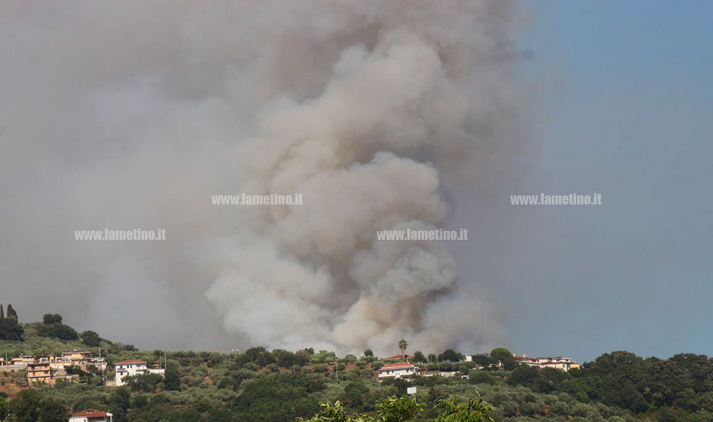 incendio-zangarona_1a9f9.jpg