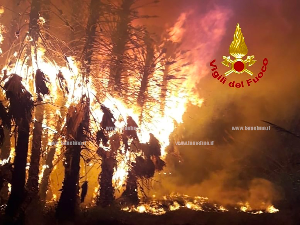 incendio070521-2_745e6.jpg