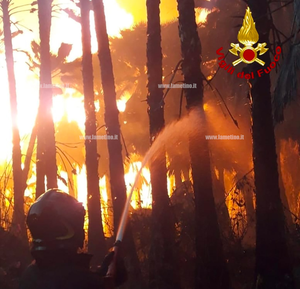 incendio070521-3_3aae4.jpg