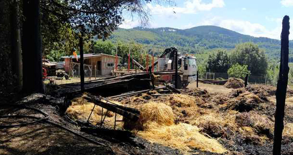 Incendio distrugge azienda agricola nel vibonese 