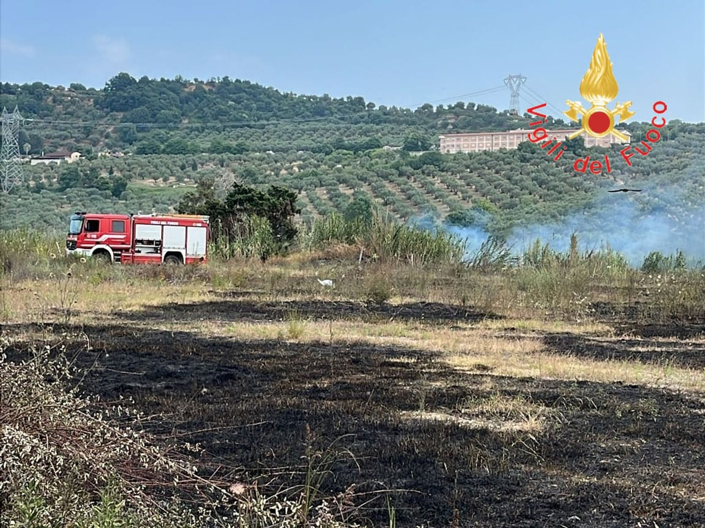 incendio14.56.20_a6df2.jpg