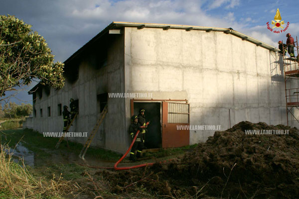 incendio1_11062012