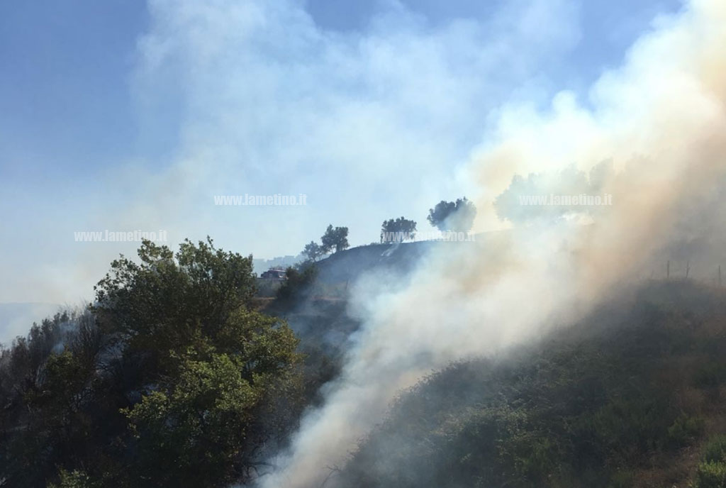 Diversi incendi attivi nei boschi del catanzarese, in azione vigili del fuoco ed elicotteri