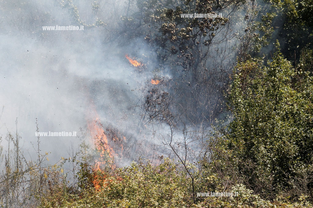 incendio2-08132016-131758.jpg