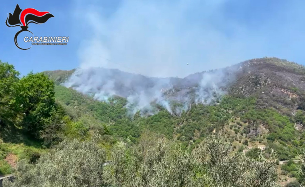 incendio3-_0374d.jpg