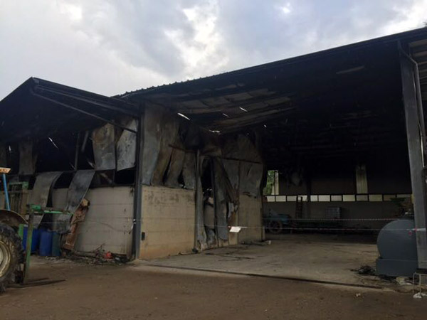 incendio3.jpg