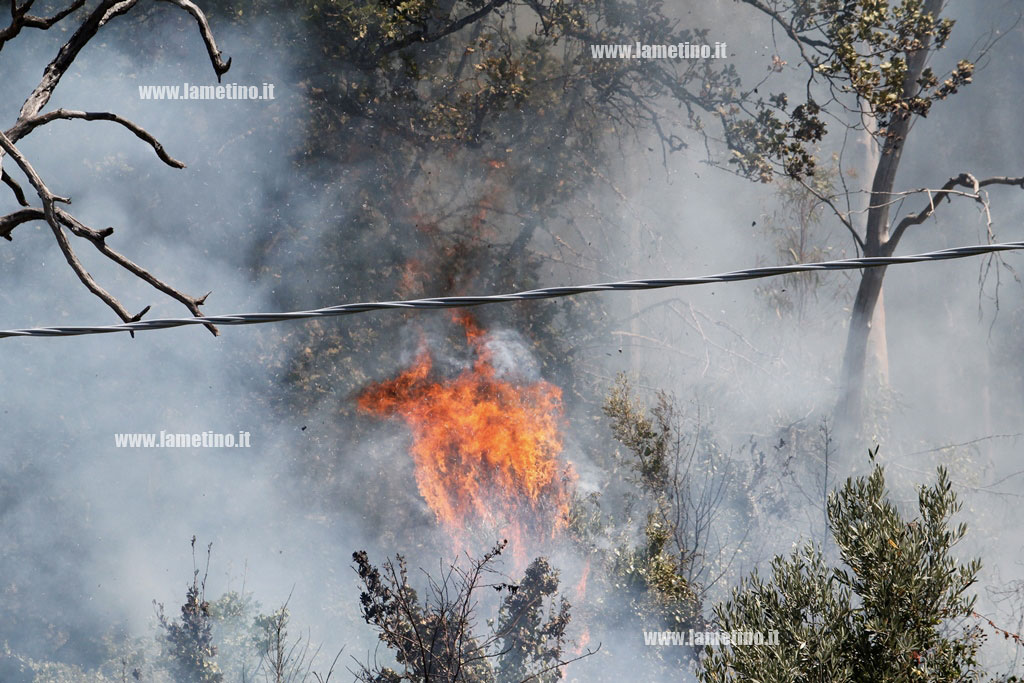 incendio4.jpg