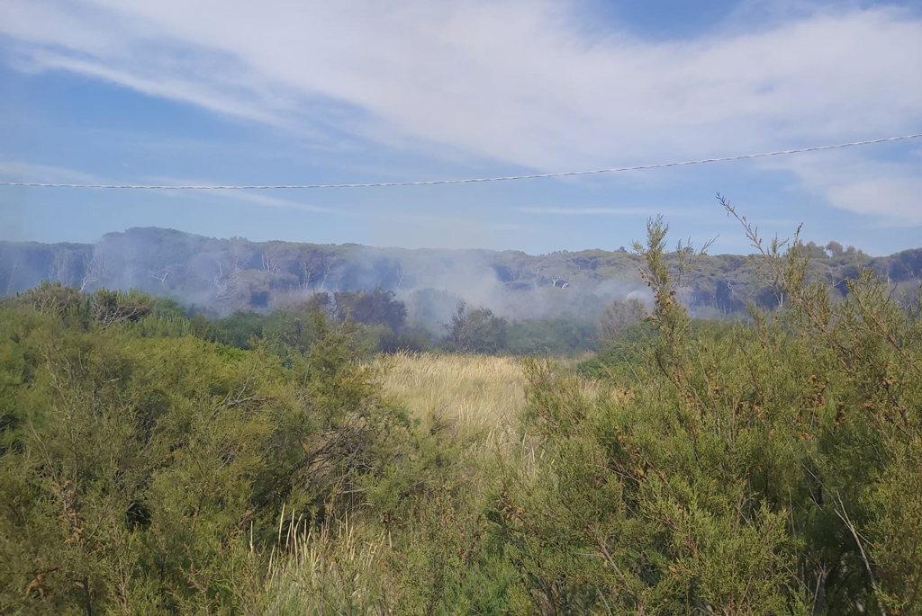 incendio8283991b72_26148.jpg