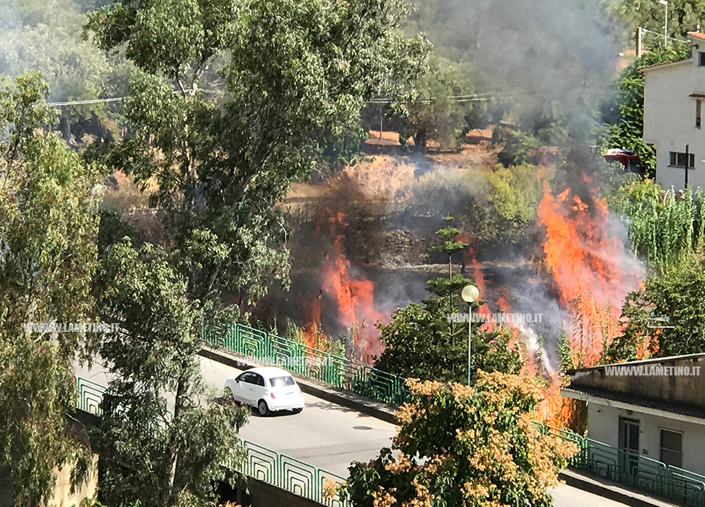 Lamezia: incendio nei pressi del torrente Canne minaccia abitazioni, intervengono vigili del fuoco - VIDEO