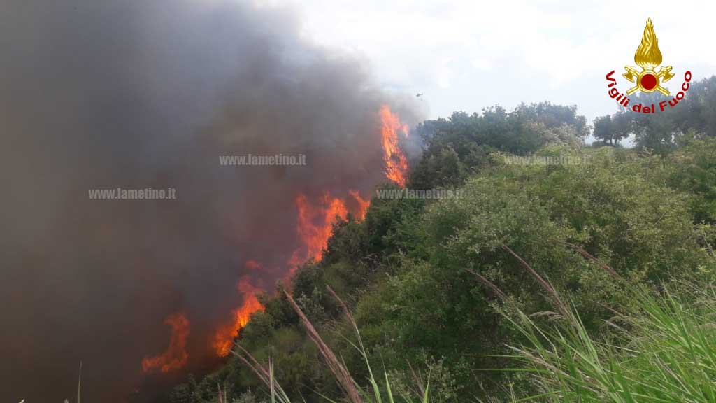 Vasto incendio nel catanzarese, fiamme minacciano ricovero per animali - VIDEO