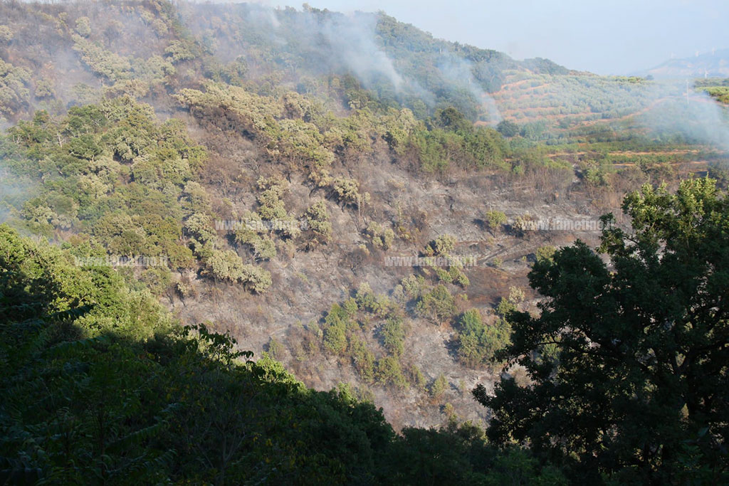 incendio_34fa5.jpg