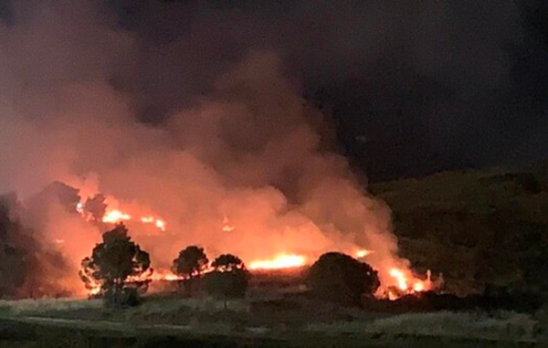 Incendio doloso in parco comunale a Crotone, appiccato in tre punti