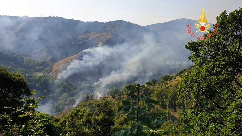 Vasto incendio nel Parco biodiversità Catanzaro
